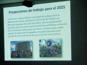 Proyecciones_trabajo_2025